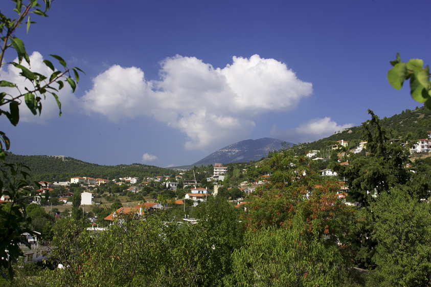 Π.Ι. Βιλίων: Πρόσκληση ενδιαφέροντος για την πρόσληψη Γενικού Ιατρού, Α.Π.Υ.