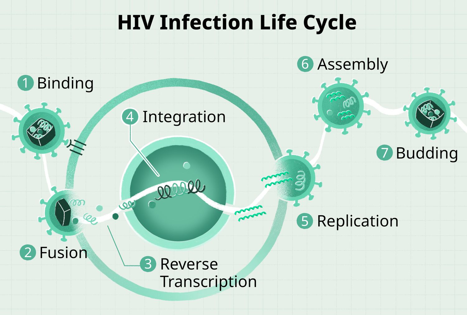 Έρευνα για την HIV λοίμωξη σε χώρους παροχής υπηρεσιών υγείας